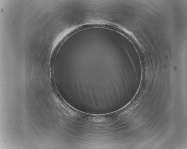 X0000059231319200510281855