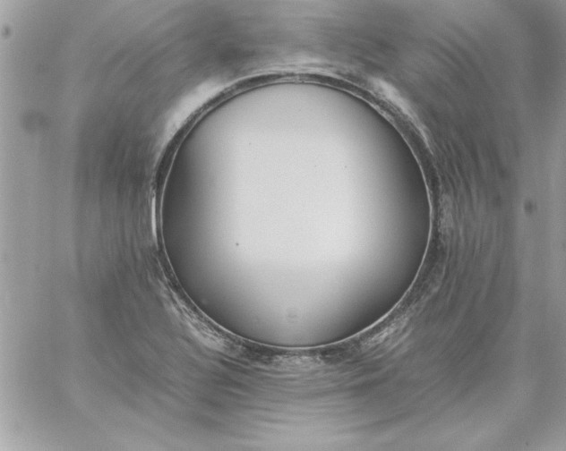 X0000059231320200510281855