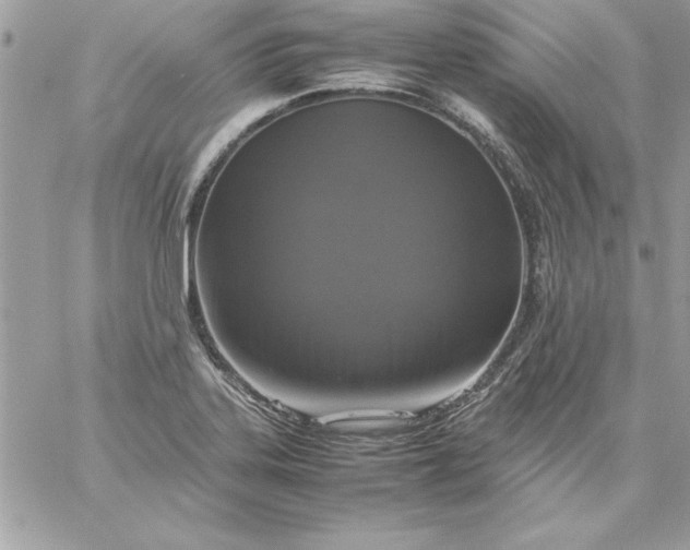 X0000059231323200510281855