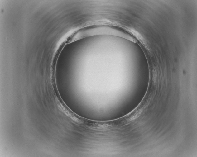 X0000059231326200510281855