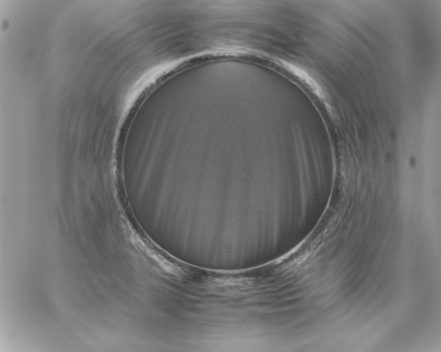 X0000059231327200510281855