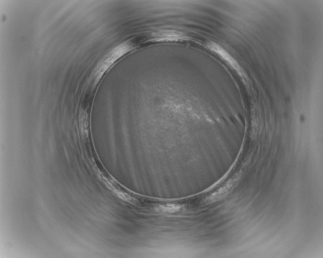 X0000059231329200510281855