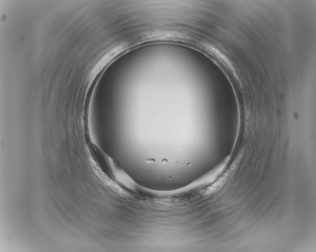 X0000059231330200510281855