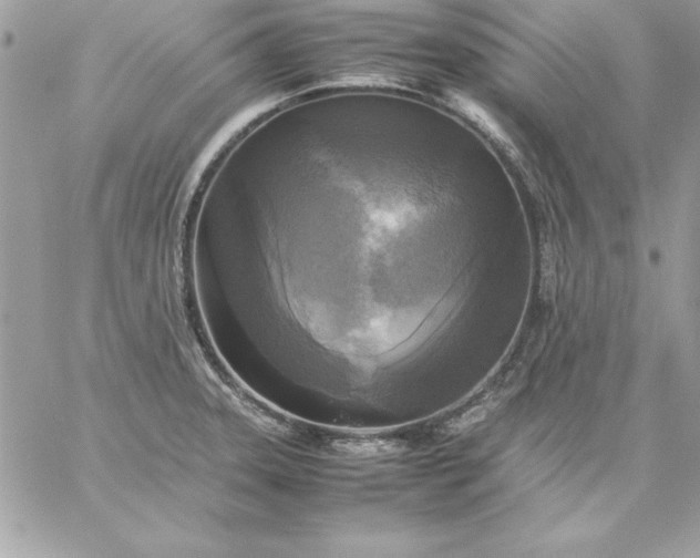 X0000059231331200510281855