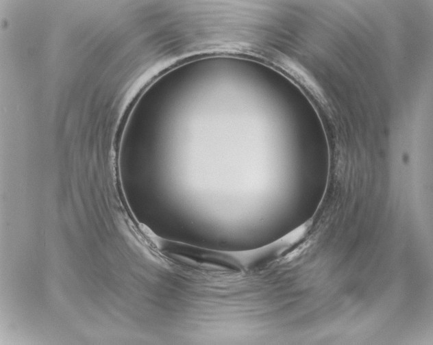 X0000059231332200510281855