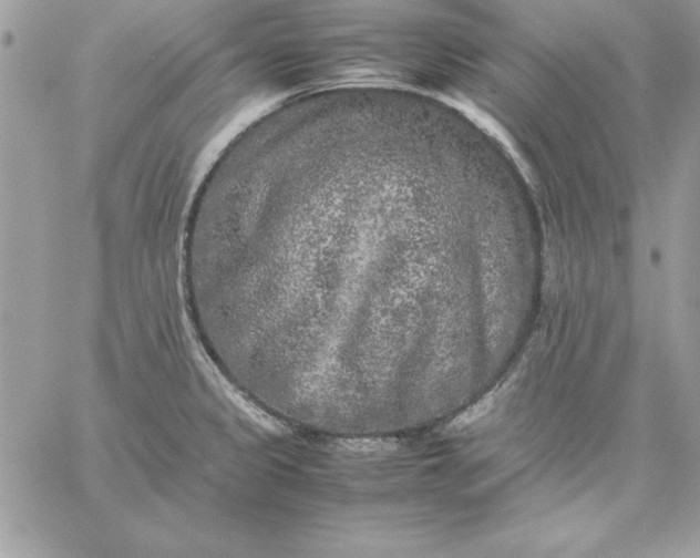 X0000059231333200510281855