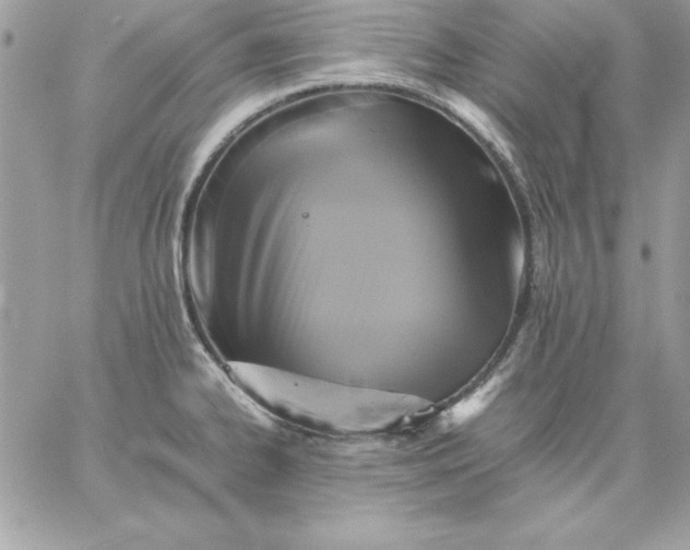 X0000059231334200510281855