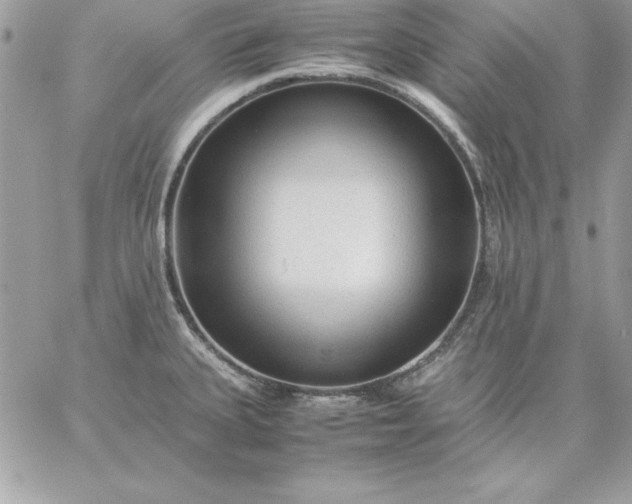 X0000059231335200510281855