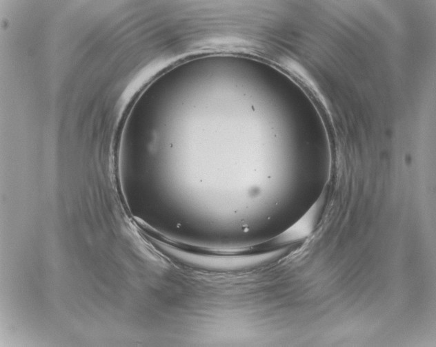 X0000059231336200510281856