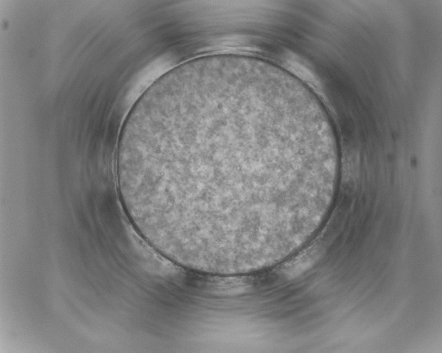 X0000059231338200510281856