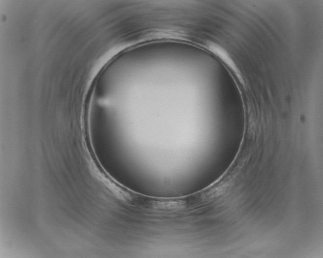 X0000059231339200510281856