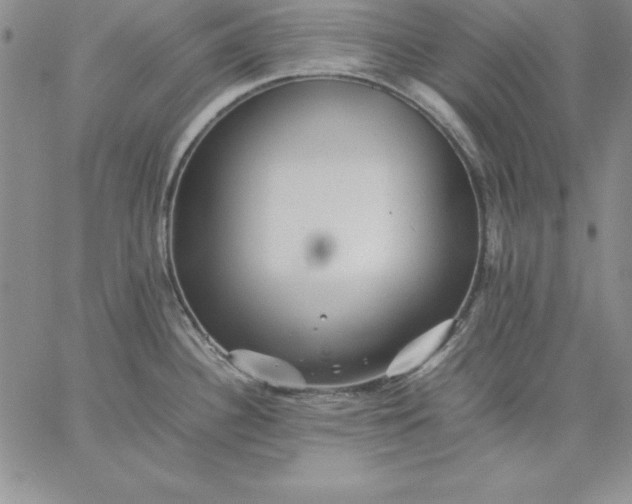 X0000059231340200510281856