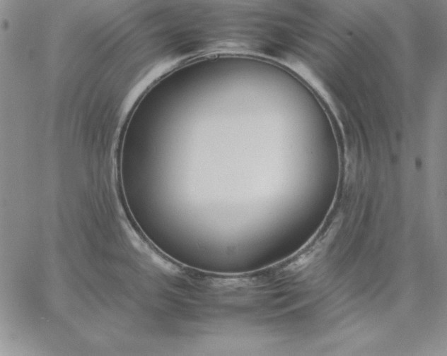 X0000059231341200510281856