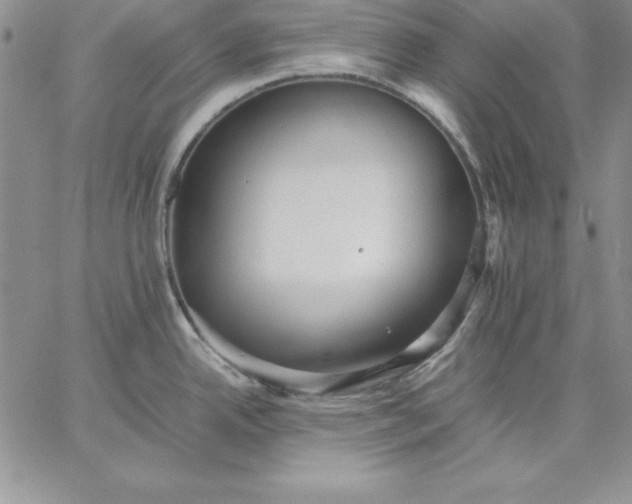 X0000059231342200510281856