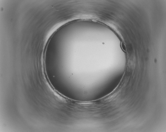 X0000059231343200510281856