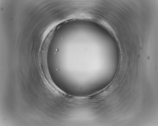 X0000059231344200510281856