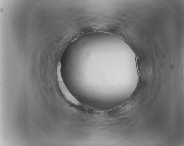 X0000059231345200510281855