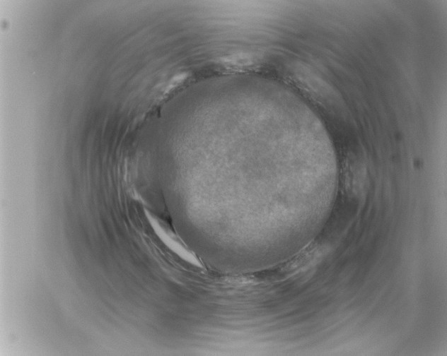 X0000059231346200510281855