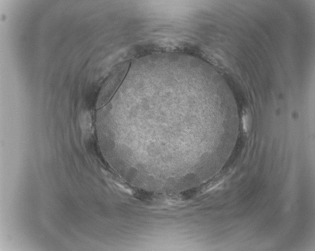 X0000059231347200510281855