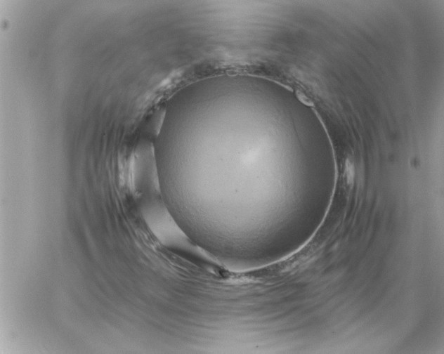 X0000059231348200510281855