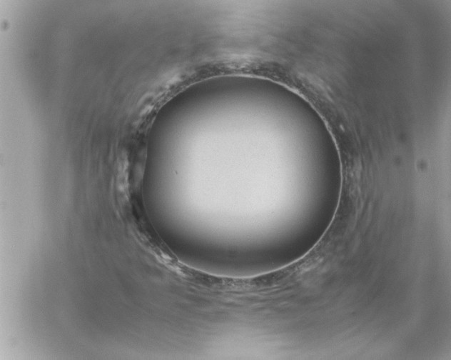 X0000059231349200510281855