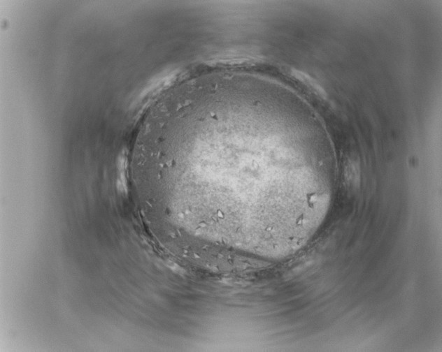 X0000059231350200510281855