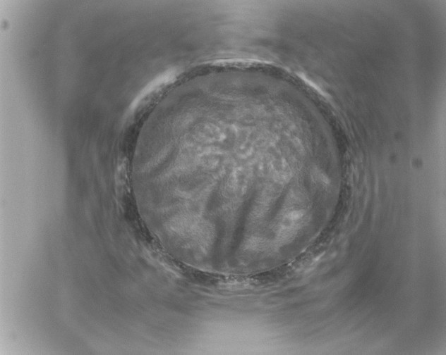 X0000059231351200510281855