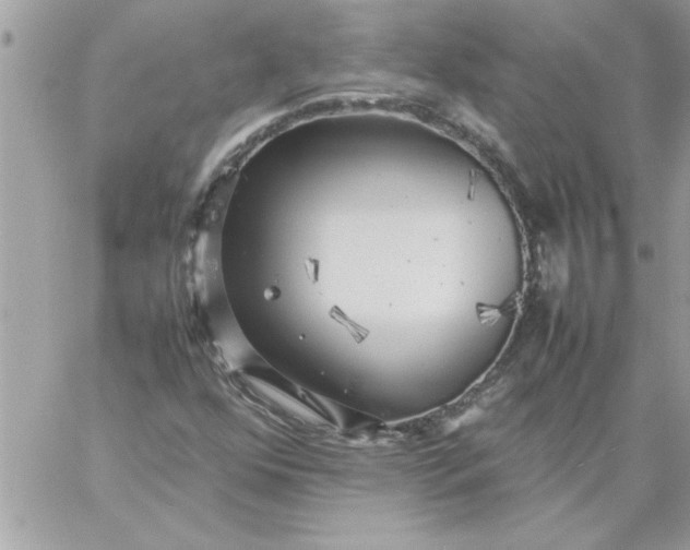 X0000059231352200510281855