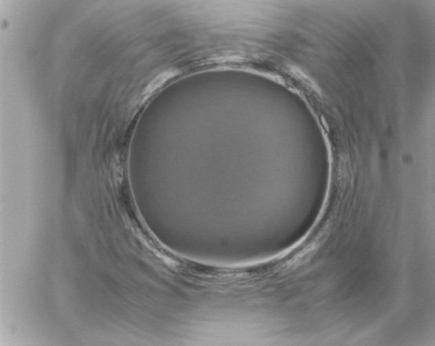 X0000059231353200510281855