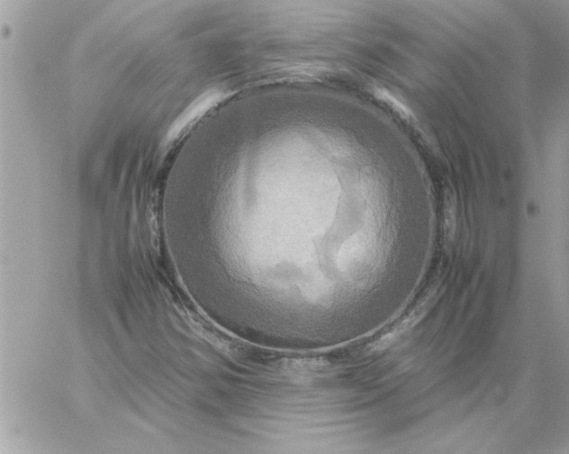 X0000059231354200510281855