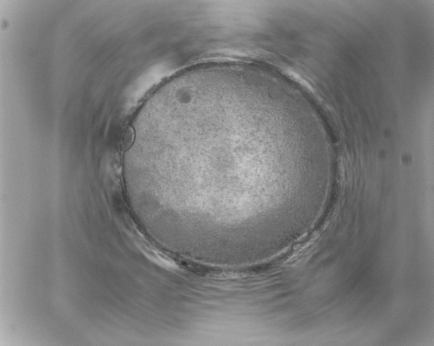 X0000059231355200510281855