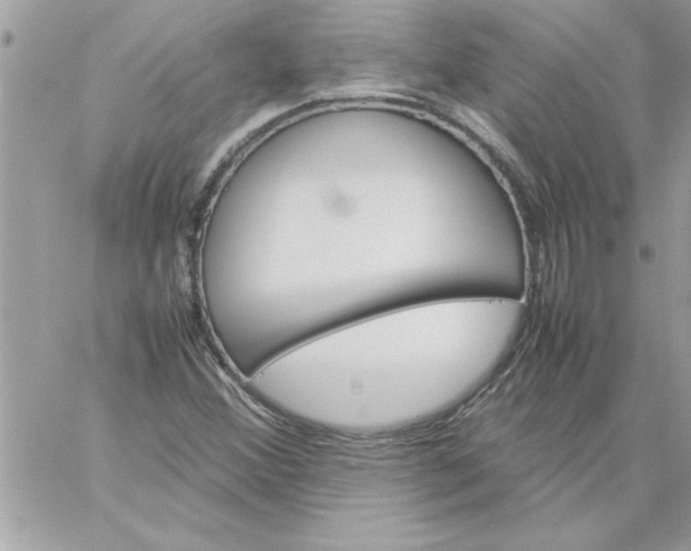 X0000059231356200510281855