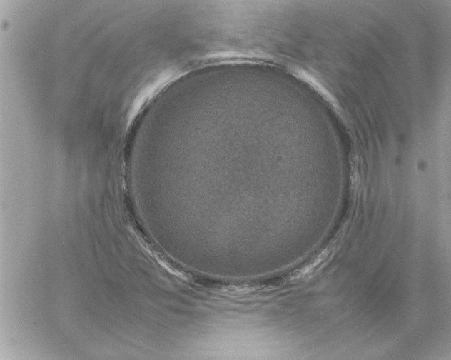 X0000059231357200510281855