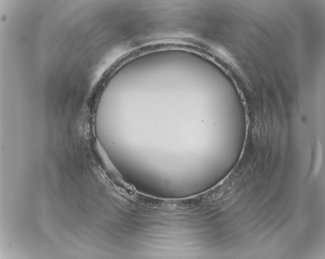 X0000059231360200510281855