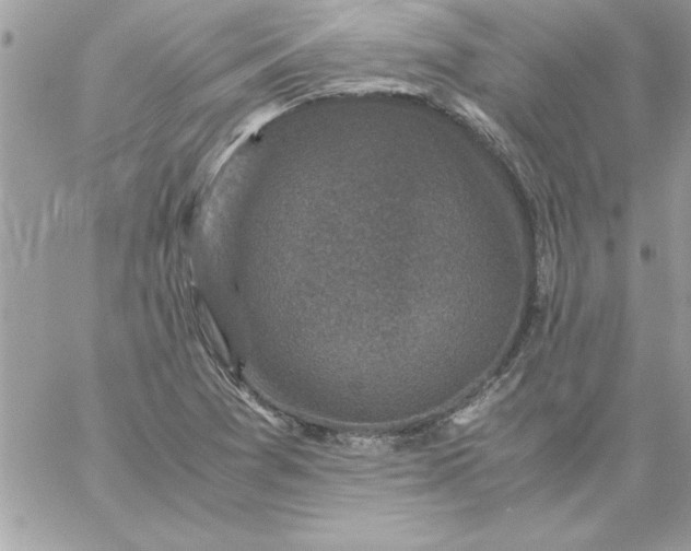 X0000059231361200510281855