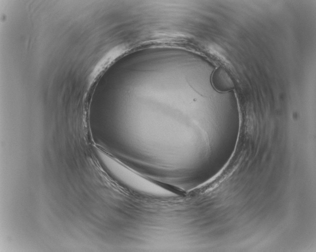 X0000059231362200510281855