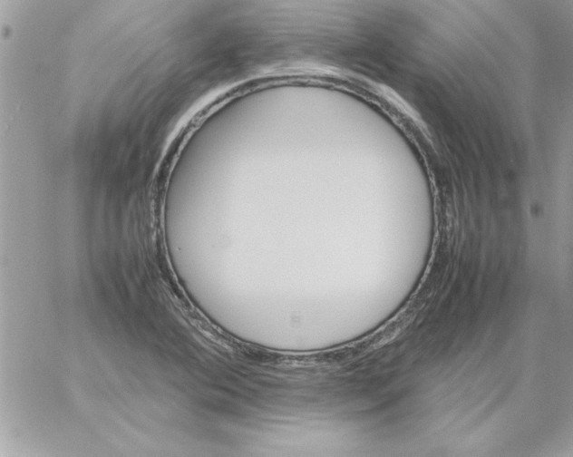 X0000059231364200510281855