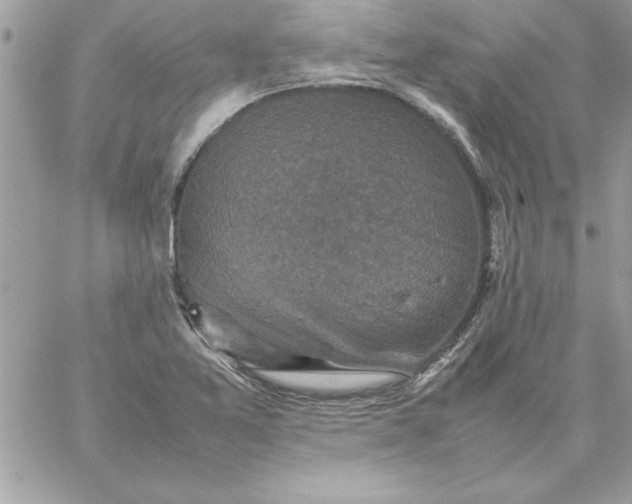 X0000059231365200510281855