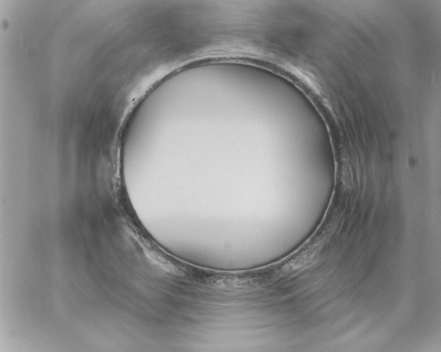 X0000059231366200510281855