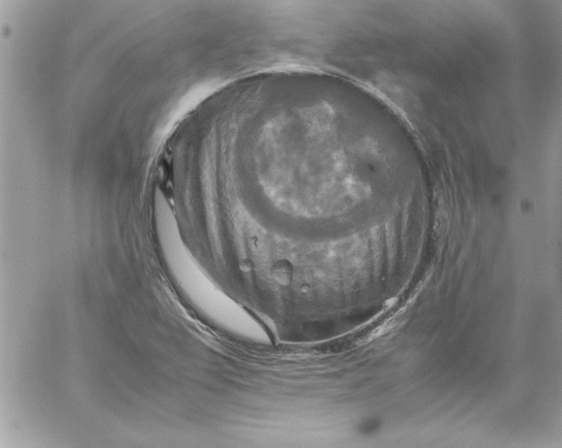 X0000059231367200510281854