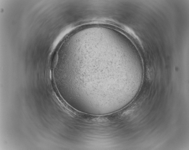 X0000059231368200510281854