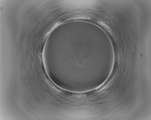 X0000059231369200510281854