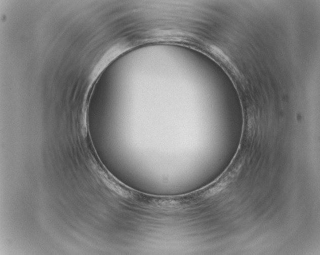 X0000059231370200510281854