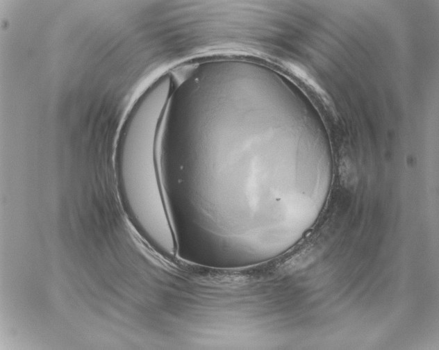 X0000059231372200510281854