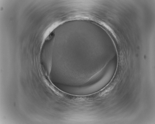 X0000059231373200510281854