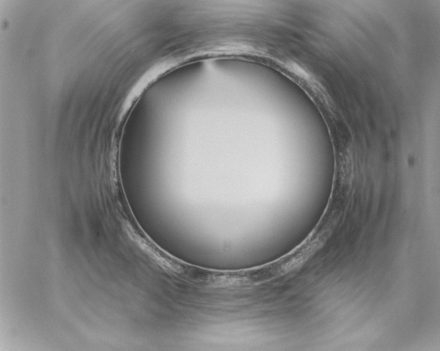 X0000059231374200510281854