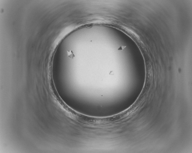 X0000059231375200510281854