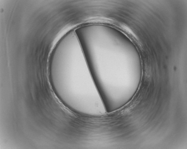 X0000059231376200510281854