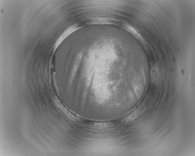 X0000059231378200510281854