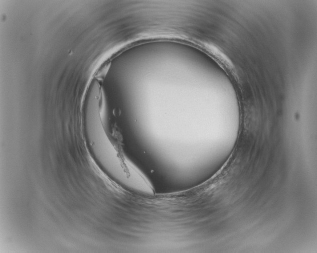 X0000059231380200510281854